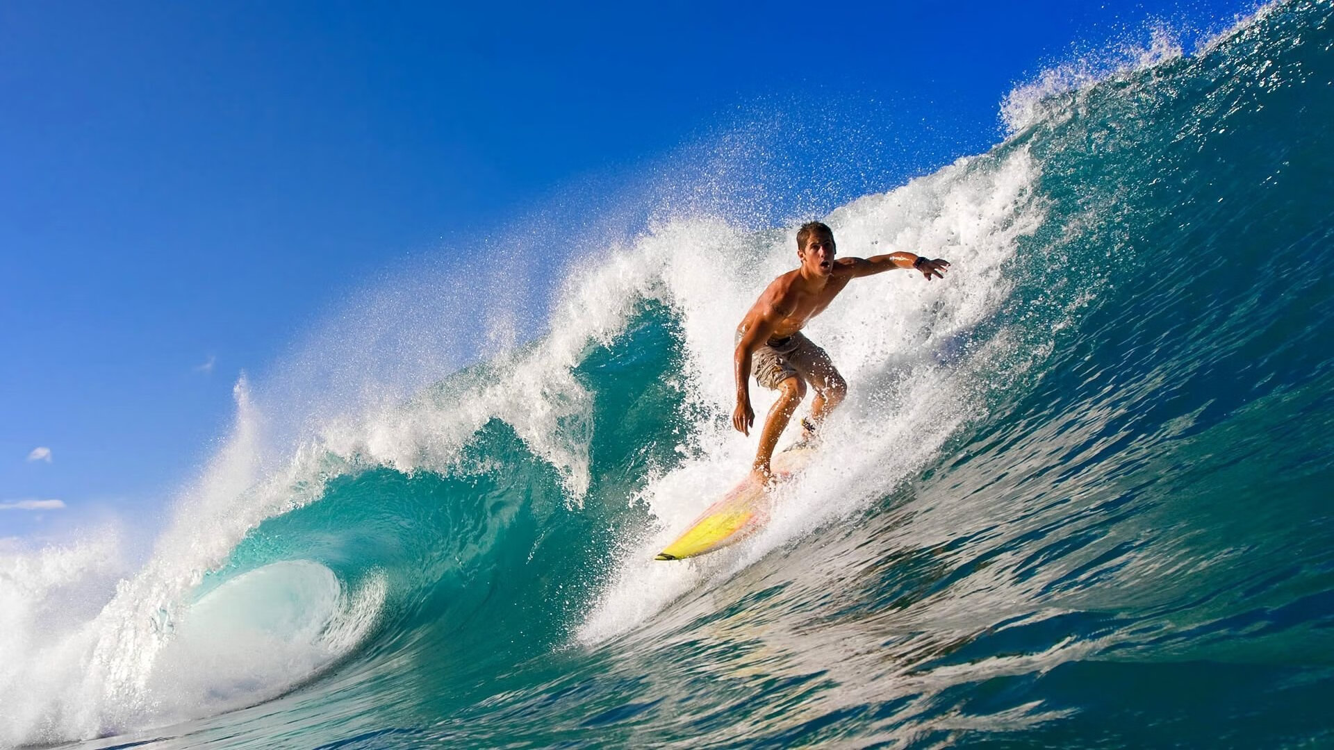 排球赛场焦点！比利时队对阵韩国队，球星闪耀，全场焦点无人能挡